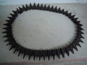 DSCN8147.JPG