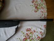 IMG_20160419_163221.jpg