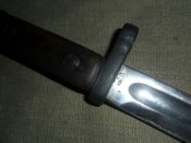 SAM_0862.jpg