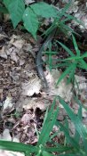 20160516_140329.jpg