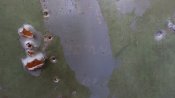 IMG_20160514_192145.jpg
