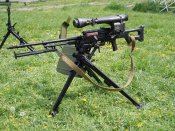 pkm006 copy.jpg