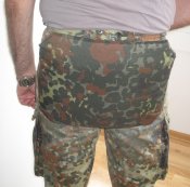 флектарн.jpg