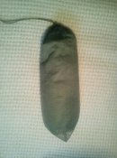 IMG_20160519_102811.jpg