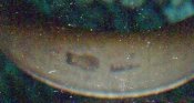 img105.jpg
