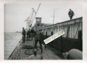 Haifischmaul10.jpg
