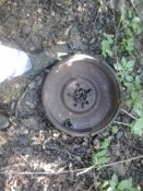 2016-05-21 08.30.23.jpg