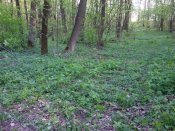 20160422_180410.jpg