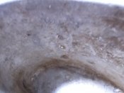 DSCN6673.JPG