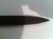 IMG_20160331_081126.jpg