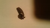 20160523_210222.jpg