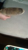 20160523_183719.jpg