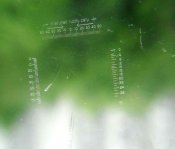 DSCF5792.jpg