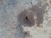 20160523_184709.jpg