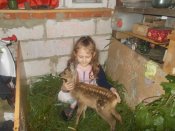 DSCN1677.JPG