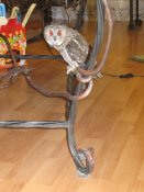 Изображение 8838.jpg