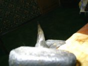 PIC_0017.JPG