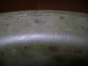 DSC05877.JPG