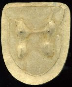 50857c50767a.jpg