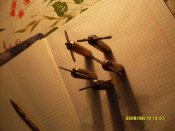 SDC11109.JPG