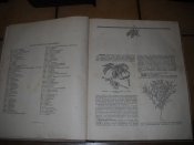 DSCN9842.JPG