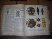 DSCN9854.JPG