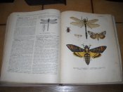 DSCN9859.JPG