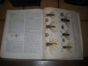 DSCN9862.JPG