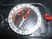 DSCI8790.JPG