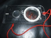 DSCI8791.JPG