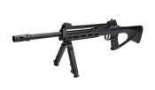 ASG-air-rifle.jpg