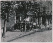 PLESKAU11.jpg