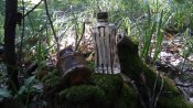 20160526_074755.jpg