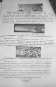 SDC10881.JPG