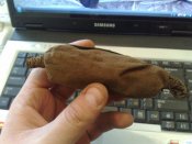 130220113013.jpg