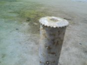 DSC01804.JPG