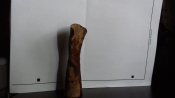 20160525_132235.jpg