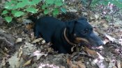 IMG_20160527_120039.jpg