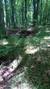 IMG_20160527_124055.jpg