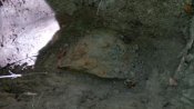 IMG_20160527_134228.jpg