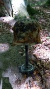 IMG_20160527_135511.jpg