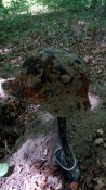 IMG_20160527_135518.jpg