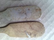 IMG_20160527_170504.jpg