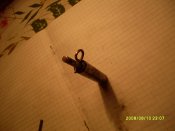 SDC11193.JPG