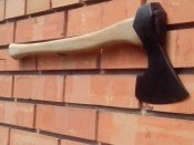 IMG_20160513_132337.jpg