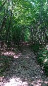 IMG_20160528_102157.jpg