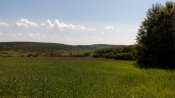 IMG_20160528_112940.jpg