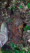 IMG_20160528_172910.jpg