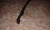 20160320_145633.jpg