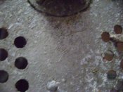 DSC05930.JPG